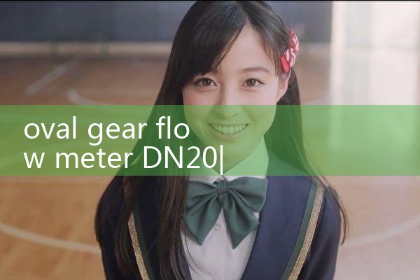 oval gear flow meter DN20|vortex flow meter