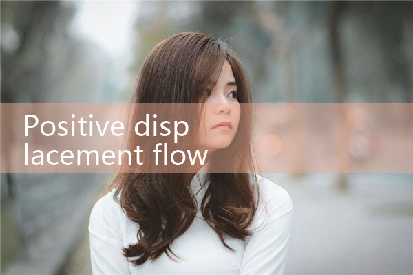 positive displacement flow meter|mass flowmeter
