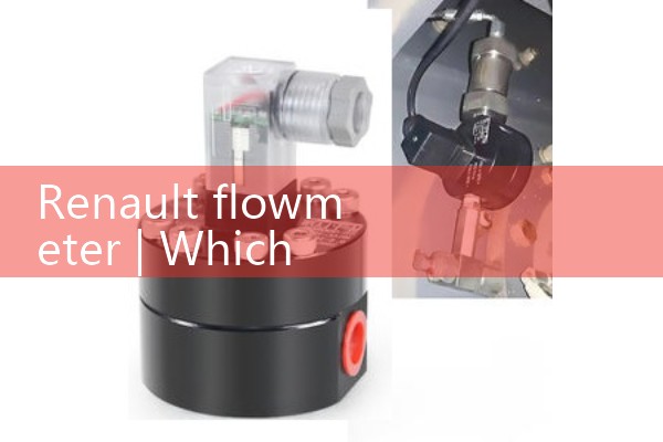 Renault flowmeter