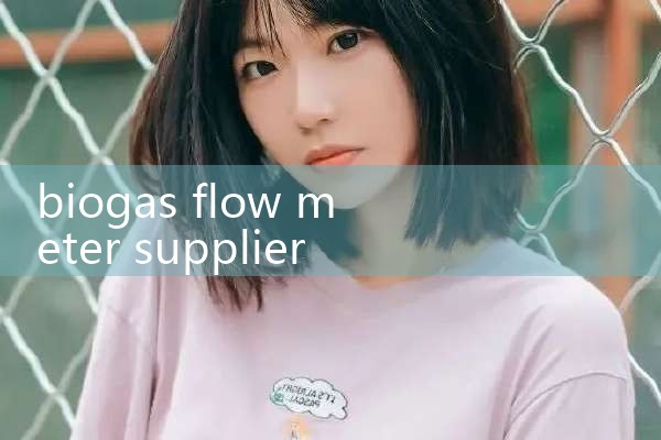 biogas flow meter supplier|coriolis mass flow meter