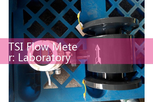 TSI Flow Meter: Laboratory Grade High-Performance Gas Calibration Tools