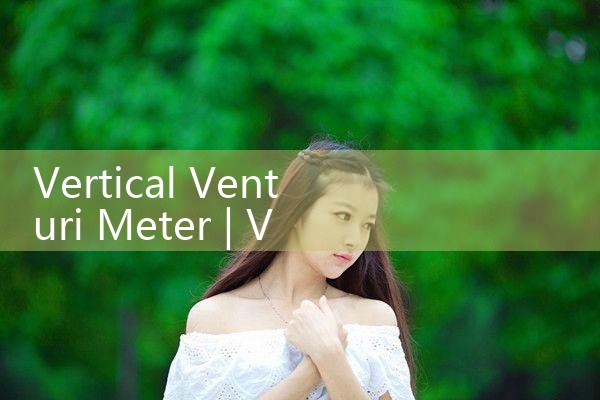 vertical venturi meter|coriolis mass flow meter