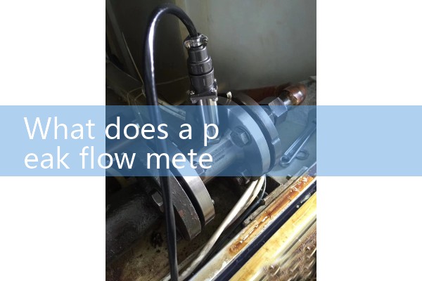 what does a peak flow meter measure