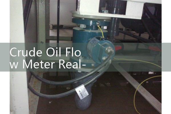 Crude Oil Flow Meter Real-Time Net Oil Computing