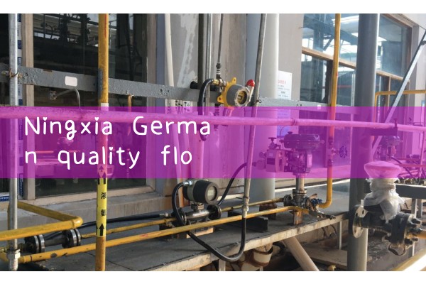 Ningxia German quality flowmeter manufacturer
