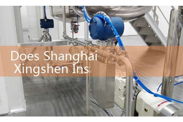 Manufacturer of metal float flowmeter