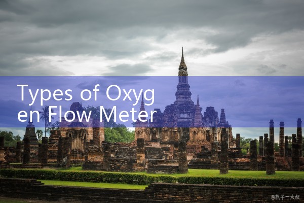 types of oxygen flow meters|coriolis mass flow meter