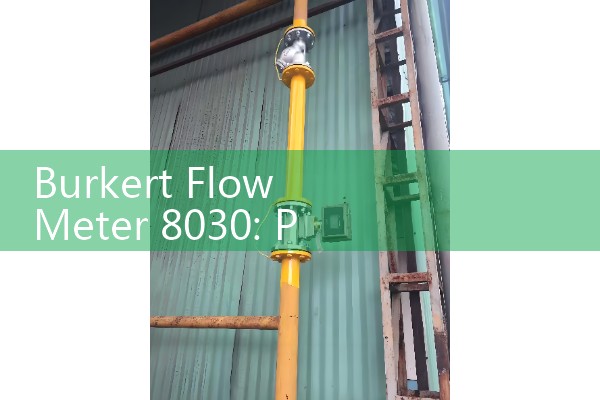 Burkert Flow Meter 8030: Proline Inline Paddle Wheel Specifications