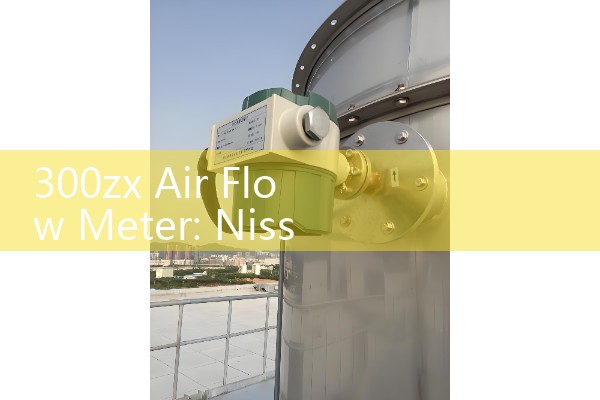 300zx Air Flow Meter: Nissan VG30DE Engine MAF Sensor Replacement Guide