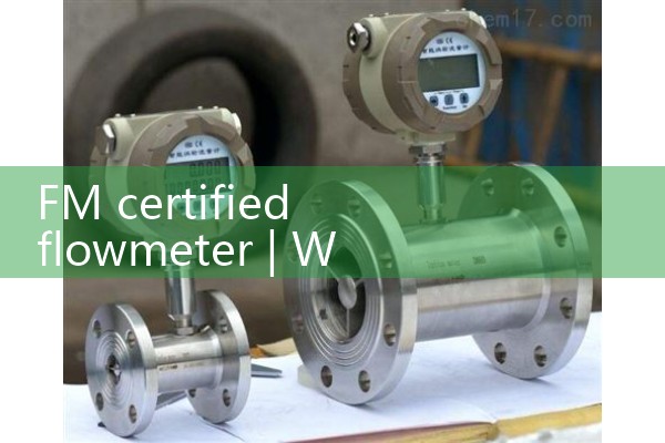 FM certified flowmeter