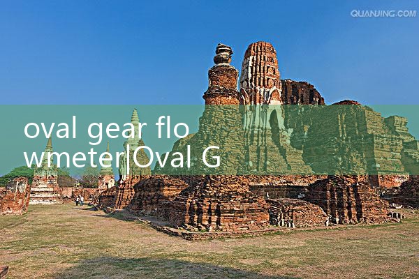 oval gear flowmeter|vortex flow meter
