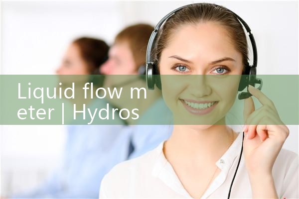 liquid flow meter|coriolis mass flow meter