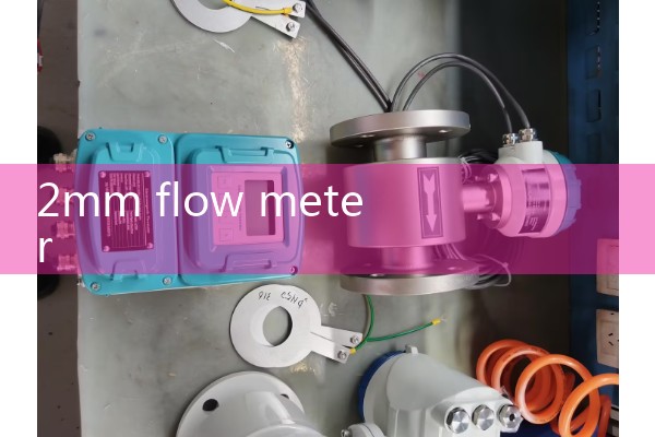 Vortex flowmeter dn200