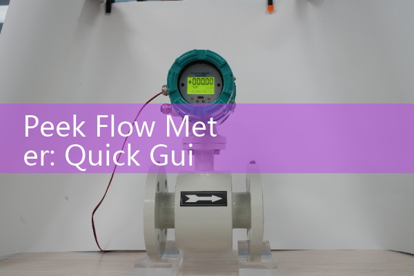 Peek Flow Meter: Quick Guide to Selecting Home Asthma Monitors