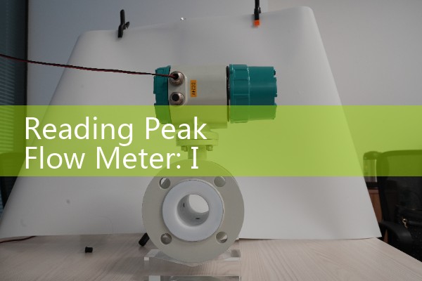 Reading Peak Flow Meter: Interpreting Manual and Electronic Scale Data
