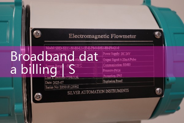 Broadband data billing
