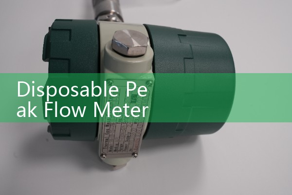 Disposable Peak Flow Meter: Clinical Clinical Expiratory Pulmonary Safety Mouthpieces