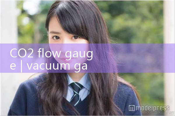 CO2 flow gauge|coriolis mass flow meter