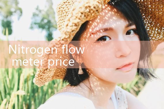 nitrogen flow meter price|coriolis mass flow meter