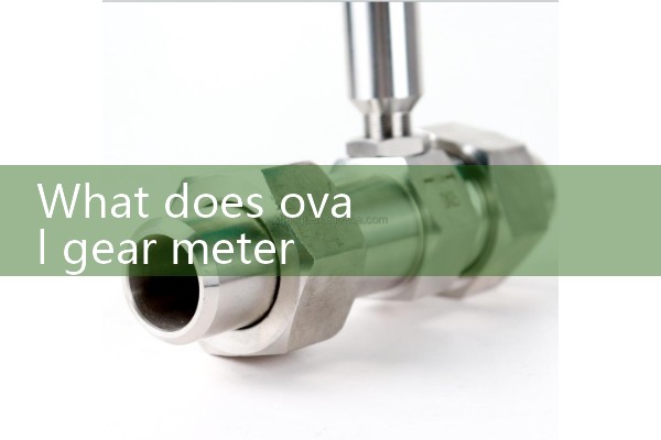oval gear meter|venturi meter