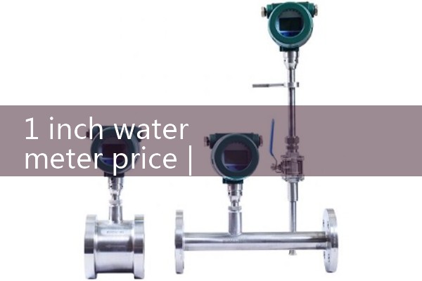 1 inch water meter price