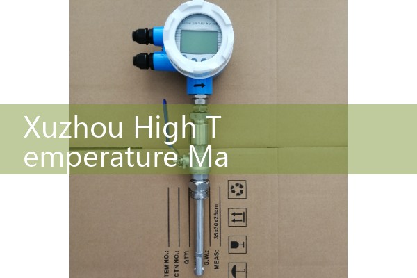 Xuzhou High Temperature Mass Flow Meter Manufacturer