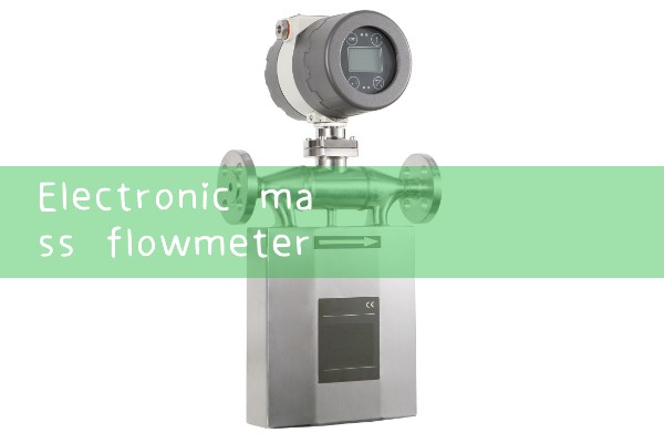 Supplier of electronic mass flow meters