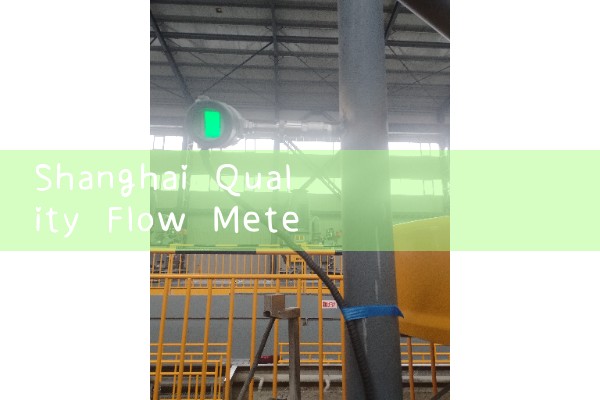 Shanghai Quality Flow Meter Selection Manufacturer